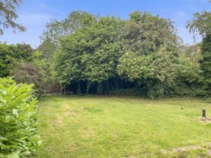 Photo 3- click for photo gallery